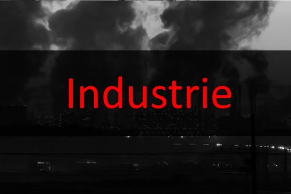 Tesla – Gerichtsurteil ebnet den Weg für Fabrik